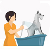 Pet Grooming