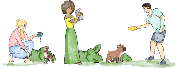 Pet Training