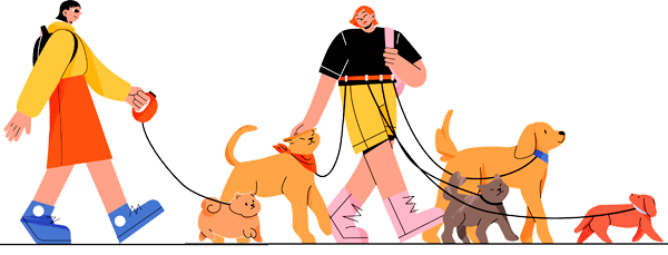 Pet Walker