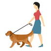 Dog Walking Service