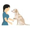 Pet Training Service