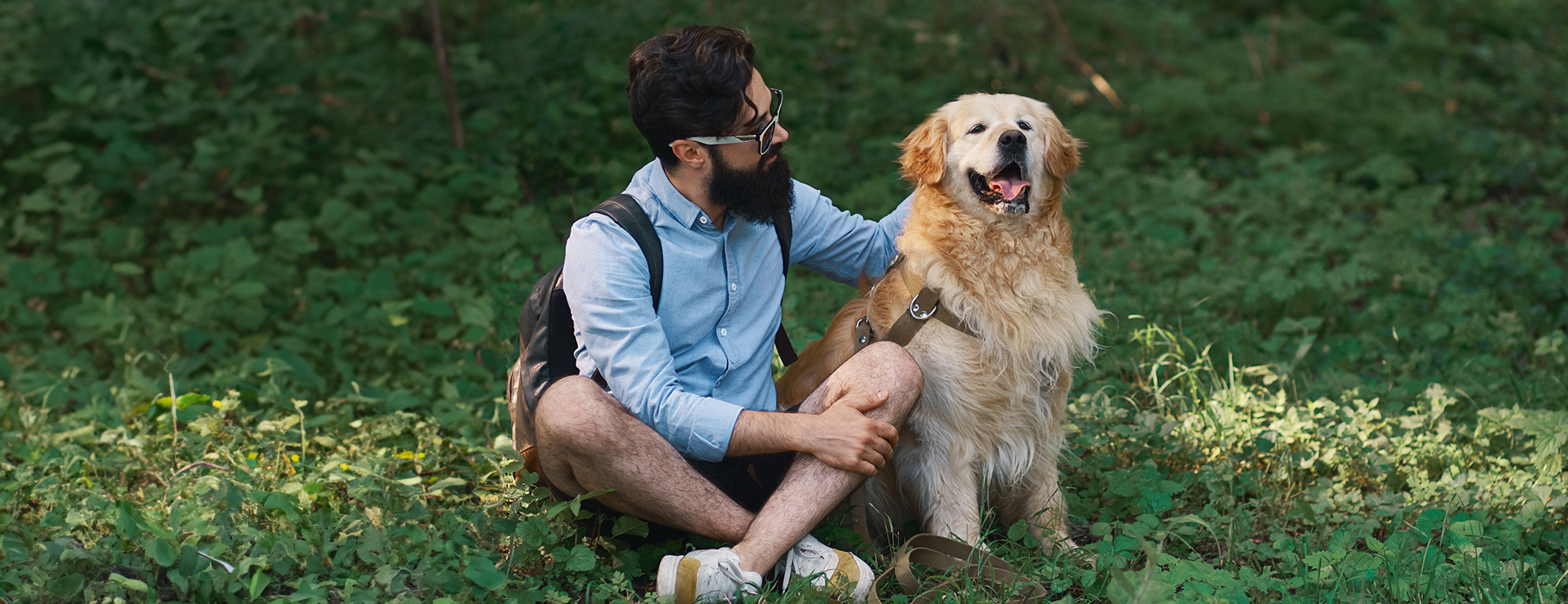 A Little Compassion is All That Matters: The Key Role of Compassion in the Pet Care Space