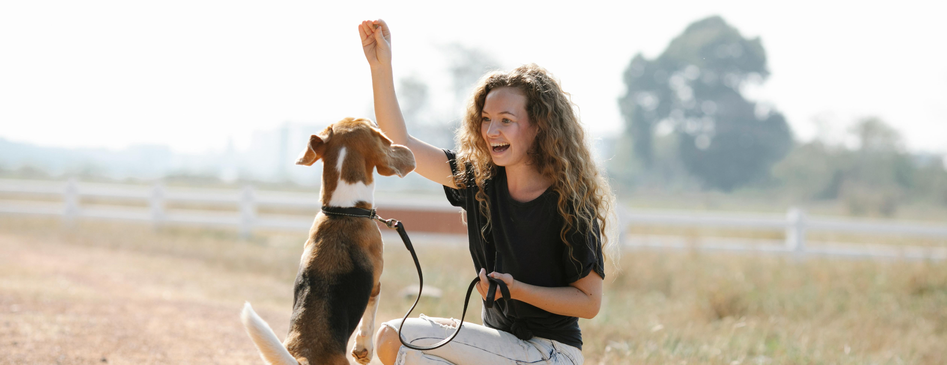 Dog Grooming – Whisper: A Tale of Resilience and Unconditional Love