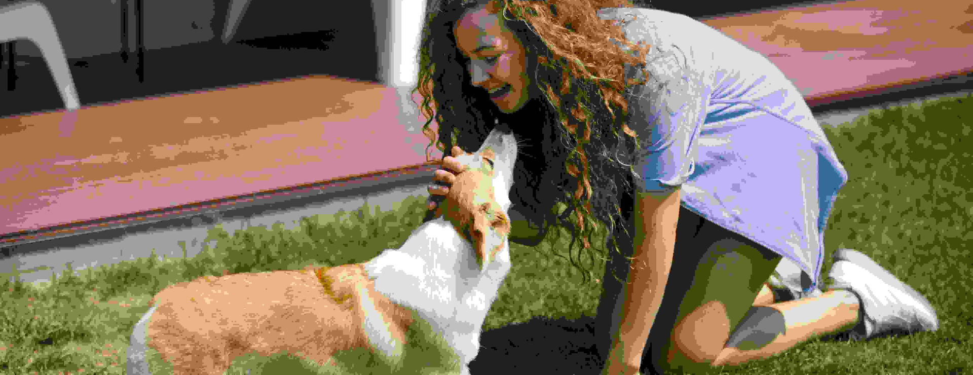 Coming Home; Dog Grooming Tips: Reconnecting with Your Dog After a Long Absence